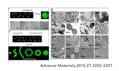 Anion-dipole interactions make the homopolymers self-assemble into multiple nanostructures